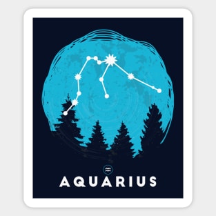 Retro Aquarius Zodiac Sign // Vintage Astrology Sticker